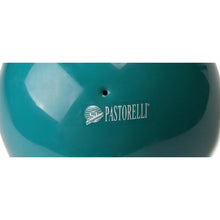 Load image into Gallery viewer, PASTORELLI New Generation Gym Ball Emerald 18 cm
