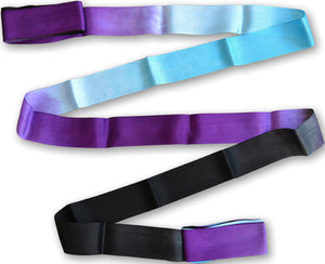 PASTORELLI SHADED ribbon 5m Black-Sky Blue-Violet