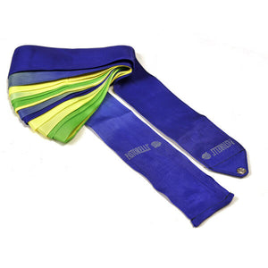 PASTORELLI SHADED ribbon 6,40 m Blue-Green-Yellow