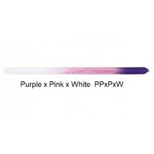 Multicolor ribbon for rhythmic gymnastics 6m M-71HG SASAKI PPxPxW